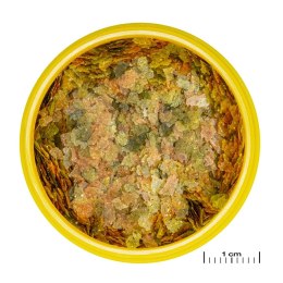 JBL Pronovo Bel Flakes S 100ml - podstawowy pokarm w płatkach dla ryb JBL