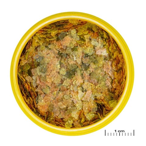 JBL Pronovo Bel Flakes S 100ml - podstawowy pokarm w płatkach dla ryb JBL