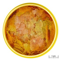 JBL Pronovo Color Flakes M 250ml - pokarm w płatkach wzmacniający kolory ryb JBL