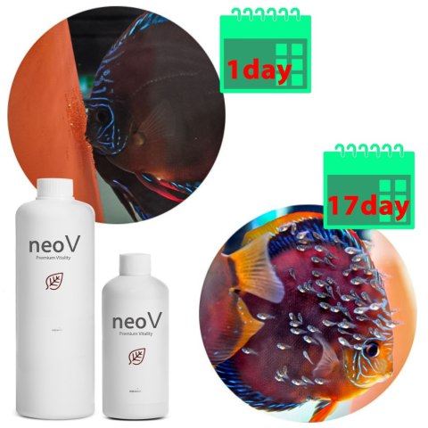 Neo V 1000ml - bakterie + stabilizacja pH + witaminy dla ryb NEO MEDIA