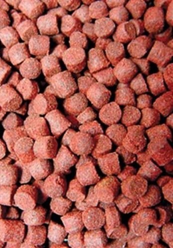 Ocean Nutrition Formula One Pellets S 100g (drobny pokarm granulowany) Ocean Nutrition