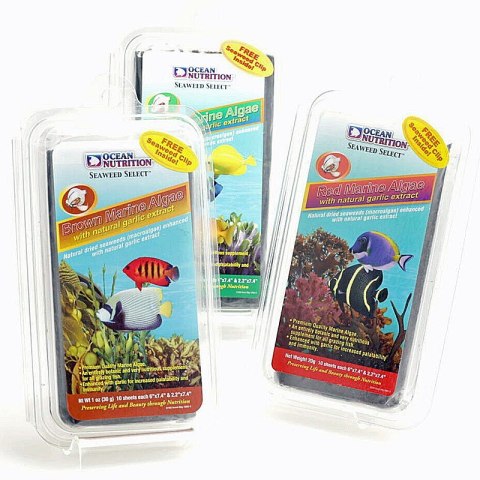 Ocean Nutrition Seaweed Red 8g - algi z czosnkiem Ocean Nutrition