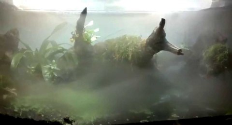 Repti-Zoo TerraFog - generator mgły z podświetleniem Repti-Zoo