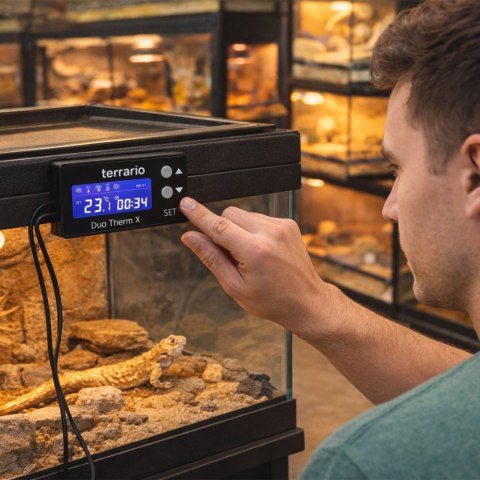 Terrario Duo Therm X - termostat dzień i noc z programatorem czasowym Terrario