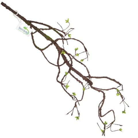Terrario - Sztuczna Gałąź Dekoracyjna z Pędami do Terrarium - 100 cm Terrario