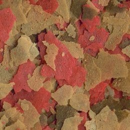 Tetra Goldfish Flakes 100ml - pokarm płatki dla złotej rybki Tetra