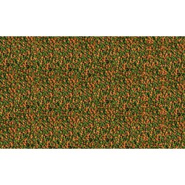 Tetra Micro Pellets 100ml - pokarm drobny wybarwiający Tetra