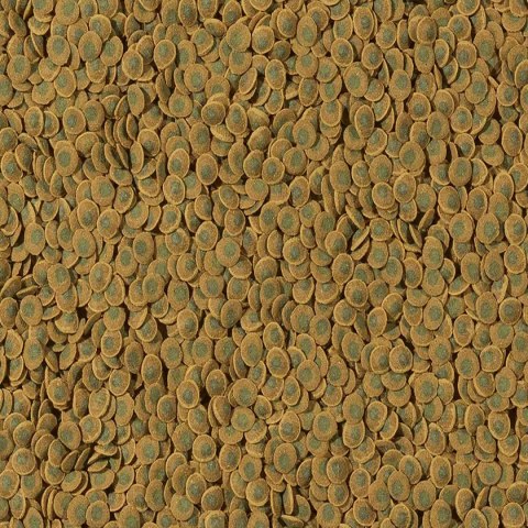 Tetra Pleco VeggieWafers 100ml - pokarm dla ryb roślinożernych dennych Tetra