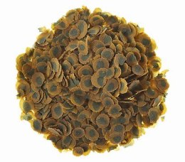 Tetra Pro Algae Multi-Crisps 100ml - pokarm wzmacniający odporność dla ryb Tetra