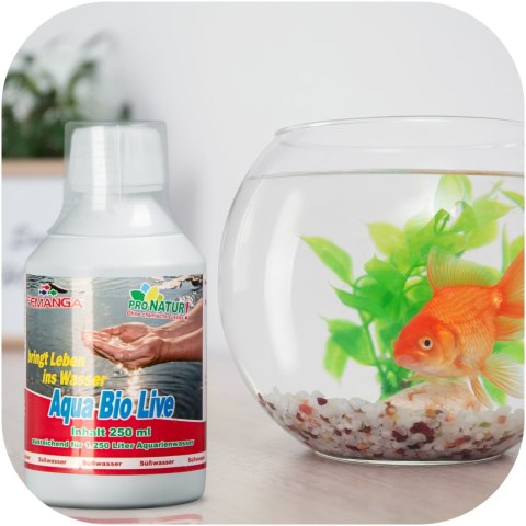 Femanga Aqua Bio Live - preparat do poprawy wody w akwarium Femanga