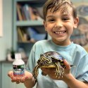 Femanga Turtle Aktiv - czysta i zdrowa woda dla żółwia 250ml Femanga