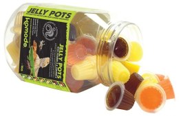 Komodo Jelly Pot Mixed Flavours Jar - miks pokarmów w żelu 60szt. Komodo