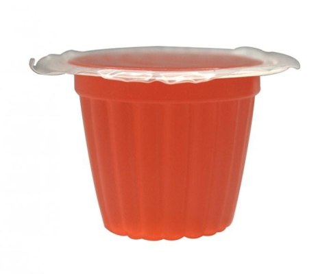 Komodo Jelly Pot Mixed Flavours - miks pokarmów w żelu 30szt. Komodo
