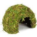 Repti-Zoo Natural Mossy Dome S - kryjówka z mchu Repti-Zoo