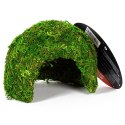 Repti-Zoo Natural Mossy Dome S - kryjówka z mchu Repti-Zoo