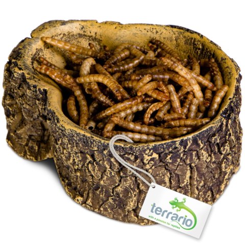Terrario Bark Bowl - Miska do Terrarium 10x7,5x4 cm Terrario