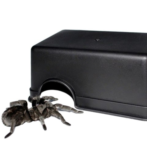Terrario CubeCave - jaskinia miska na wodę i pokarm 14x9x5cm Terrario