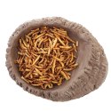 Terrario FoodWood M - miska na pokarm 14x12x2,5cm Terrario