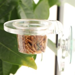 Terrario Gecko Bar Dish - miseczka zapasowa 30ml Terrario