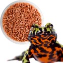 Terrario Repti Bites Gammarus 125ml - kiełż zdrojowy suszony Terrario