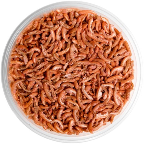 Terrario Repti Bites Gammarus 250ml - kiełż zdrojowy suszony Terrario