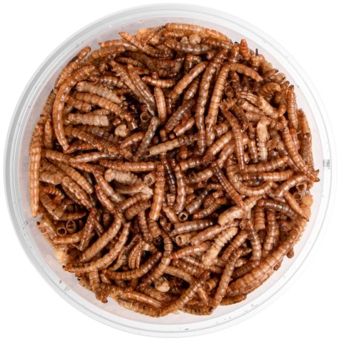 Terrario Repti Bites Mealworms 125ml - larwy mącznika suszone Terrario