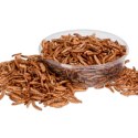 Terrario Repti Bites Mealworms 125ml - larwy mącznika suszone Terrario