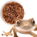 Terrario Repti Bites Mealworms 125ml - larwy mącznika suszone Terrario