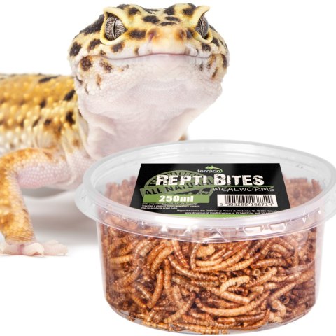 Terrario Repti Bites Mealworms 250ml - larwy mącznika suszone Terrario