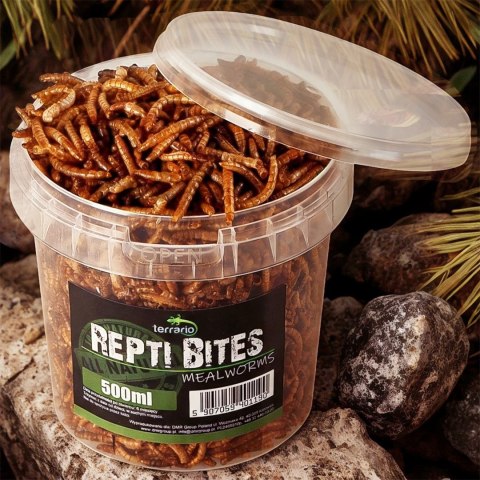 Terrario Repti Bites Mealworms 500ml - larwy mącznika suszone Terrario