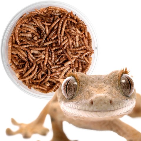Terrario Repti Bites Mealworms 500ml - larwy mącznika suszone Terrario