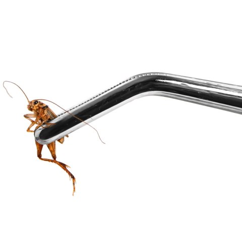Terrario ViperTweez Bent S - pęseta zagięta 20cm Terrario