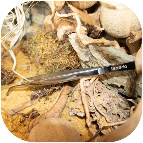 Terrario ViperTweez Bent S - pęseta zagięta 20cm Terrario