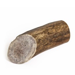 Antler dog chew/ gryzak z poroża jelenia Recosnack