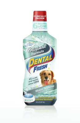 Dental Fresh SynergyLabs