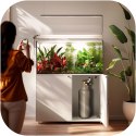 Aquario CO2 Bottle Fat - butla CO2 8l niska z zaworem Aquario