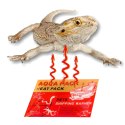 Aqua Heat Pack 40H 'Gold' x10 - zestaw 10 ogrzewaczy Aquario