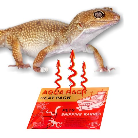 Aqua Heat Pack 40H 'Gold' x10 - zestaw 10 ogrzewaczy Aquario