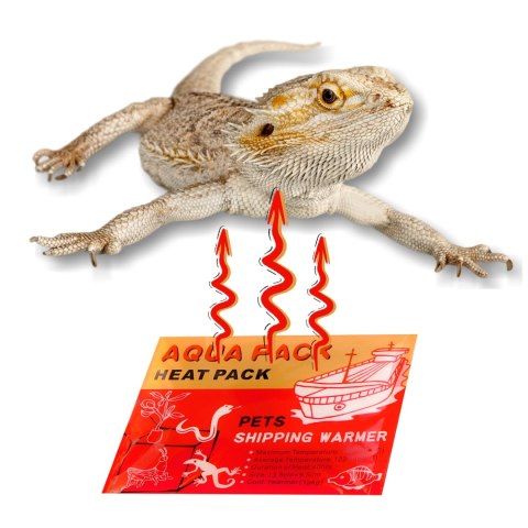 Aqua Heat Pack 'Gold' x 200 - zestaw 200 ogrzewaczy Aquario