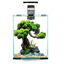 Aquael Shrimp Set Day&Night 10L White - zestaw akwarystyczny Aquael