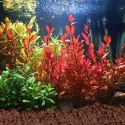 Kruger Meier Crimson Ember Lava 10-20 mm - Lawowe podłoże strukturalne 2 kg Kruger Meier