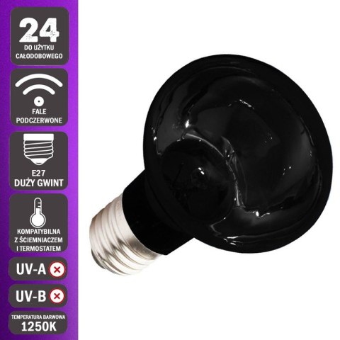 Komodo Moonlight 75W - nocna żarówka grzewcza Komodo