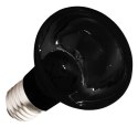 Komodo Moonlight 75W - nocna żarówka grzewcza Komodo