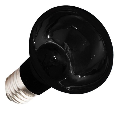 Komodo Moonlight 75W - nocna żarówka grzewcza Komodo