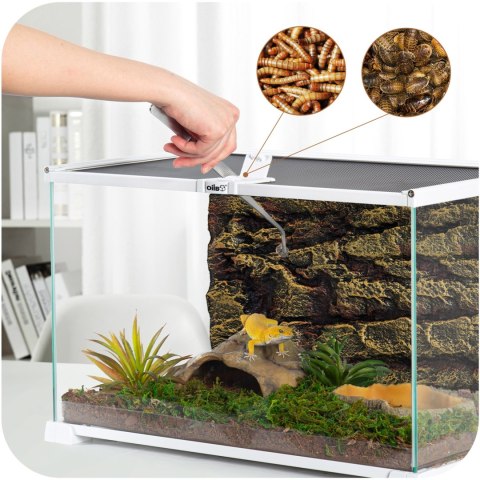 OiiBO Terrarium RAK05W - terrarium 50x30x35cm OiiBO
