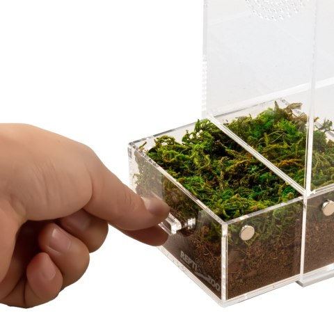 Repti-Zoo Easy Clean Acrylic Terrarium - terrarium akrylowe 10x10x20cm Repti-Zoo