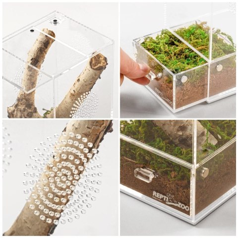 Repti-Zoo Easy Clean Acrylic Terrarium - terrarium akrylowe 10x10x20cm Repti-Zoo