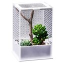Repti-Zoo Mantis Box M - terrarium akrylowe dla modliszek Repti-Zoo