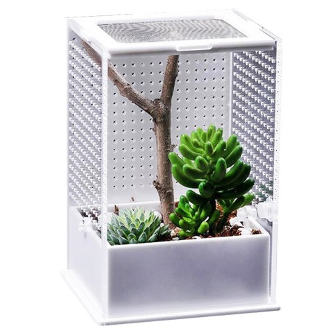 Repti-Zoo Mantis Box M - terrarium akrylowe dla modliszek Repti-Zoo
