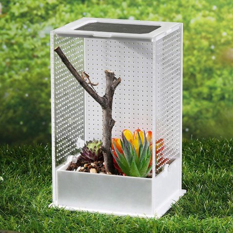 Repti-Zoo Mantis Box M - terrarium akrylowe dla modliszek Repti-Zoo
